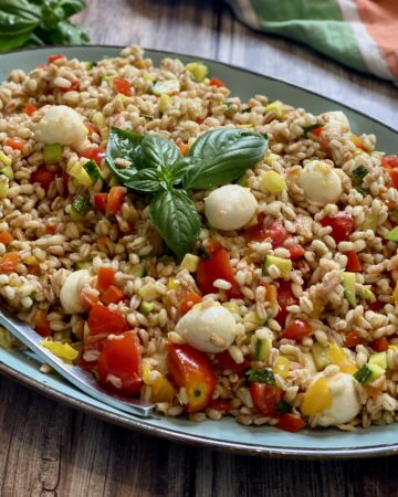 insalata estiva di orzo e farro